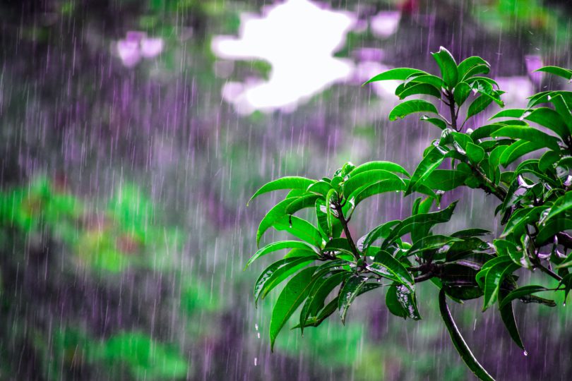 Yuk Simak Tata Cara Doa Ketika Hujan Angin Kencang Sesuai Sunnah